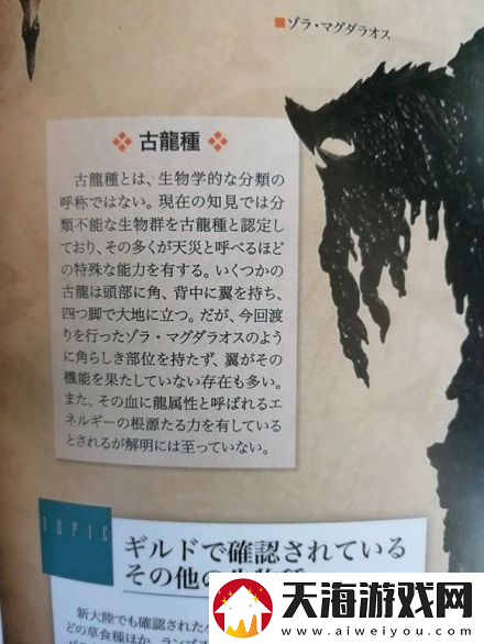 怪物猎人荒野古龙种大全介绍