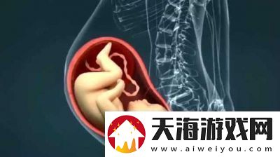 双腿间硬硬的胎头湿漉漉的挤出来